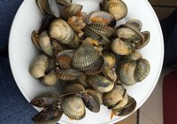 Foto van Barbara Lueg